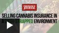 Coming Soon: Selling Cannabis Insurance in a Cash-Strapped Environment