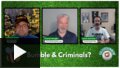 Golfertainment Excerpt: Should Dating Apps Screen for Criminals?